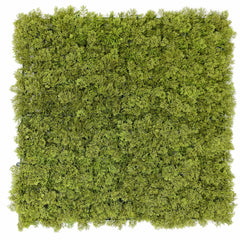 Fake Moss Wall Full View