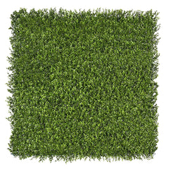Square piece of artificial premium buxus hedge panel on a white background