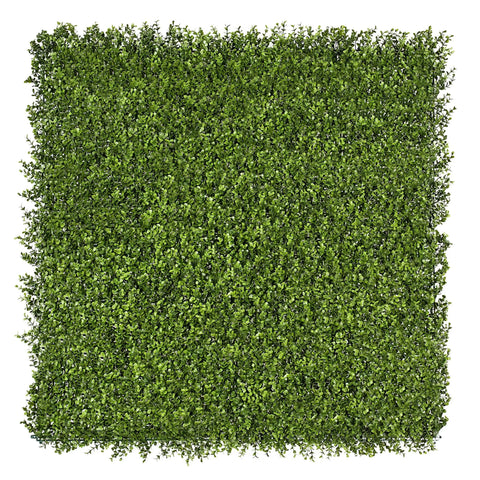 Square piece of artificial premium buxus hedge panel on a white background