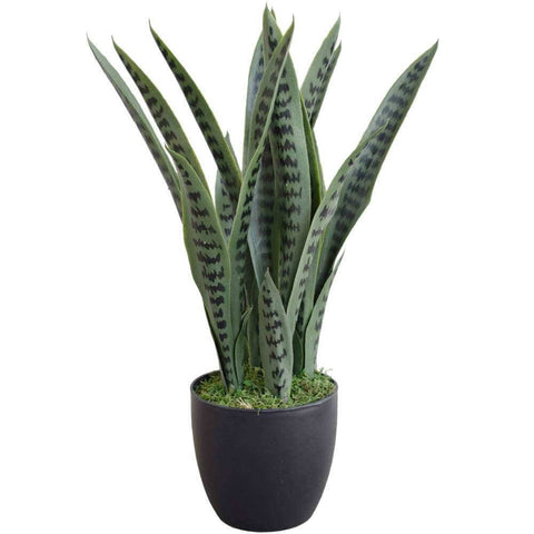 large snake plant fake Artificial Snake Plant Sansevieria 60cm UV Stabilised – Vertical Gardens Direct