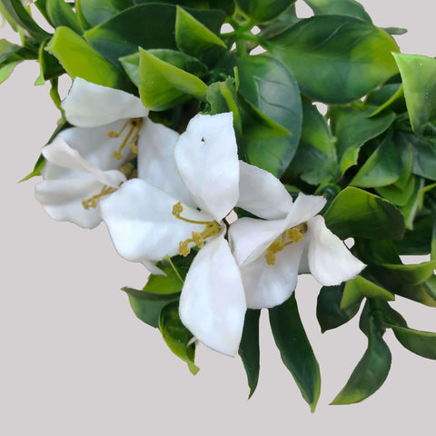 Artificial White Flowering Jasmine Stem 30cm UV Stabilised