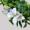 Image of Artificial White Flowering Jasmine Stem 30cm UV Stabilised