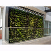 Image of Green living wall with plants in an indoor setting