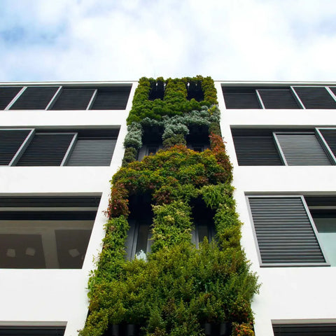 Green wall on the side of a building with a clear sky background