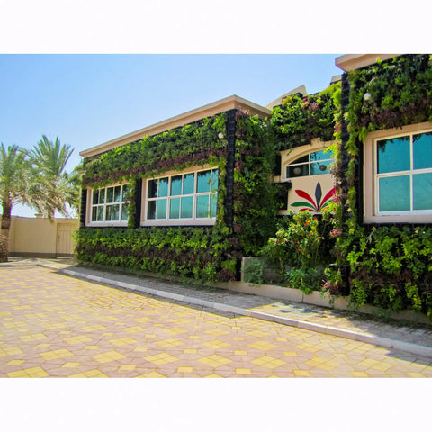 Building with a green wall and palm trees in the background