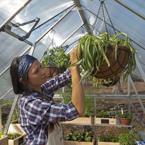Maze Greenhouse actual view - silver