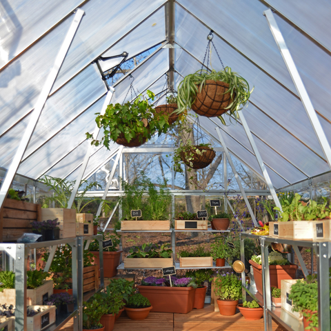 Maze Greenhouse inside view - silver