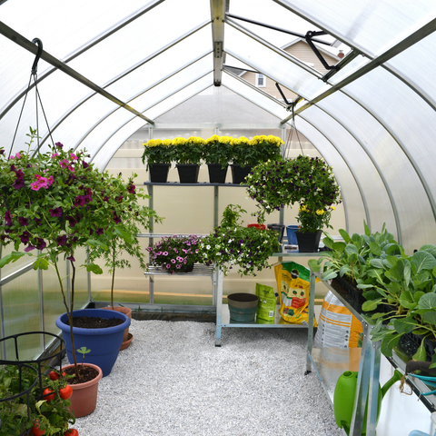 Palram Bella Greenhouse Inside View