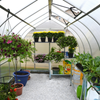 Image of Palram Bella Greenhouse Inside View