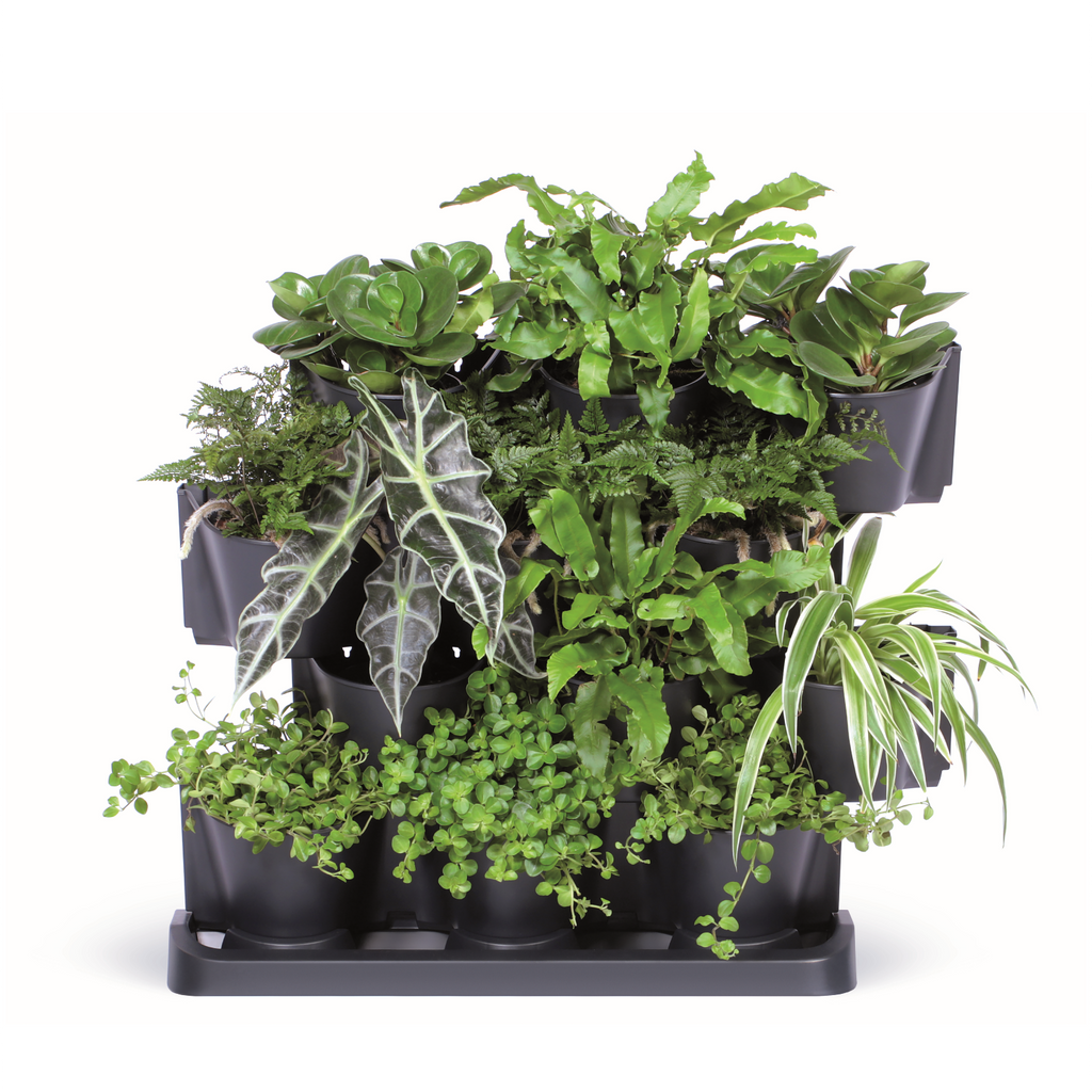 Maze Cascade Vertical Herb Garden Kit – Vertical Gardens Direct