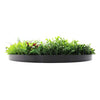 Image of 80cm Colour Fresh Artificial Green Wall Disc UV Stabilised - Black