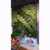 Image of Green wall with plants and a bicycle in a room