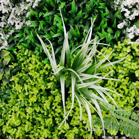 Close up view of the forest floor panel greenery with a focus on a single leaf