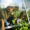 Image of Balance Greenhouse Planting Inside View