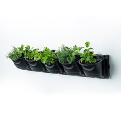 Maze Vertical Garden 5 Pot Wall Planter Kit