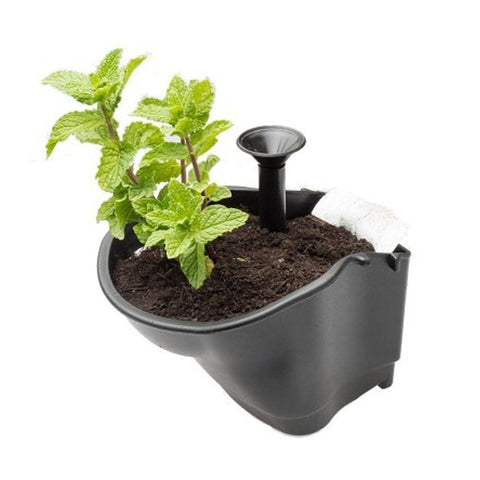 Maze Regular Vertical Garden Single Pot With Funnel + Mat