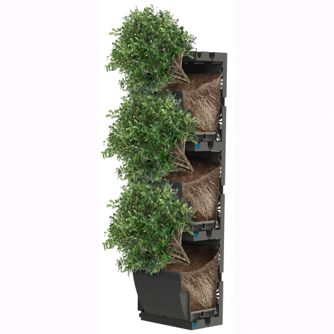 Stack of green plants in black containers on a white background