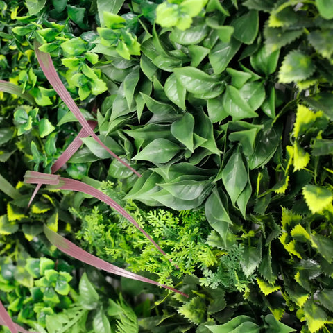 Close-up of verdant fern green leaves with a focus on texture and colour variation.