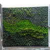 Image of Vertical Garden Grow Felt 1.8m Roll