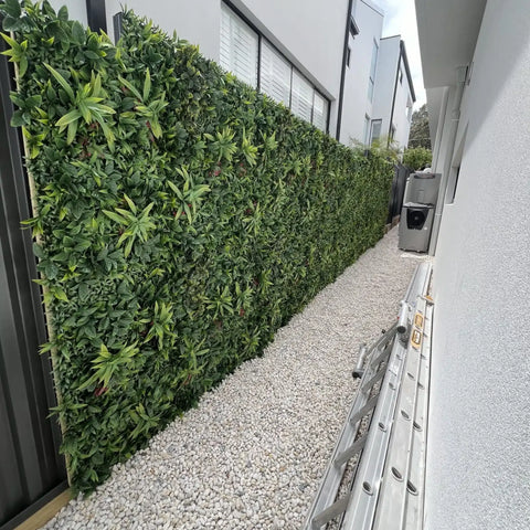 Artificial Green Meadows 1m x 1m Plant Wall Panel UV Stabilised installed in a residential backyard along a pebble stone pathway with a ladder positioned in front