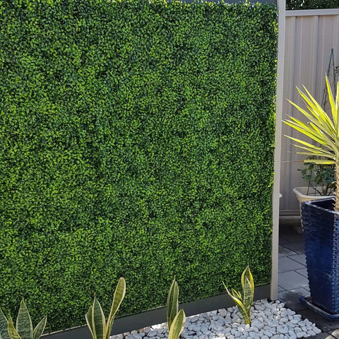 Artificial Mixed Boxwood 1m x 1m Plant Panel UV Stabilised mounted vertically outdoors with decorative white pebbles and several small real plants including snake plants at the base and a tall potted plant with spiky yellow green leaves on the right side
