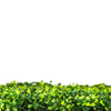 Image of Close up image of the leaves on the Artificial Mixed Boxwood 1m x 1m Plant Panel UV Stabilised