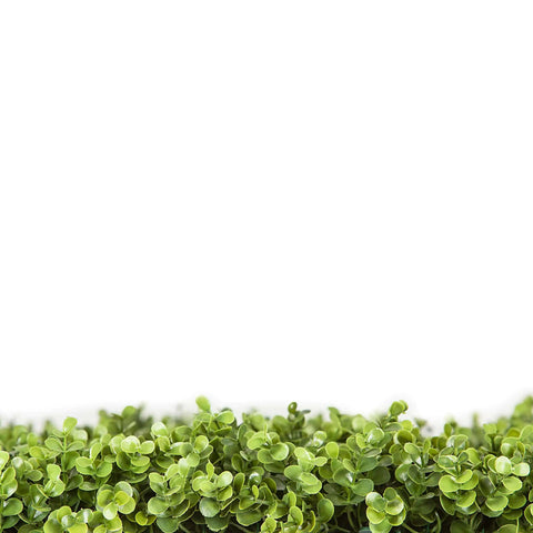 Close up image of the foliage on the Artificial Premium Natural Buxus Panel 
