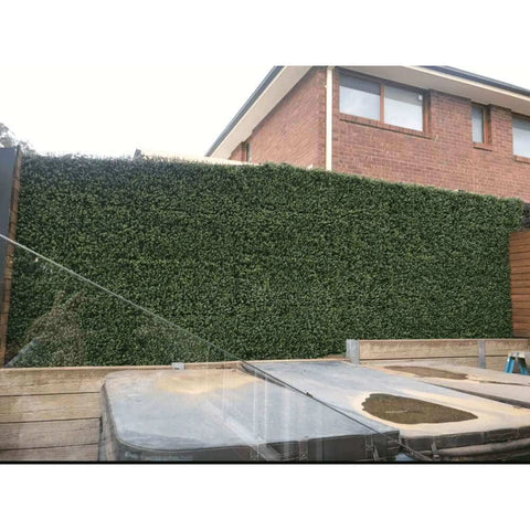 Artificial Premium Natural Buxus Panel installed at a residential property next to a portable pool