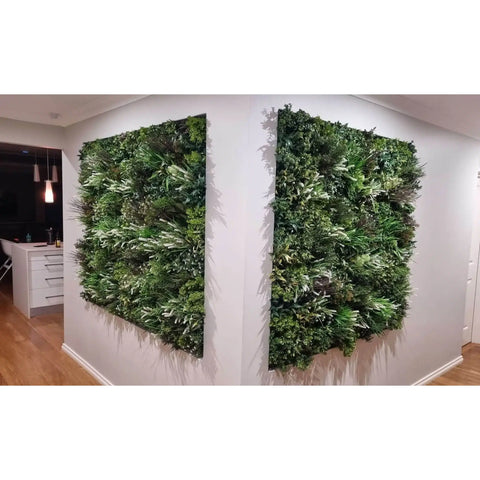 Artificial Vertical Garden of Eden installed in a house on two corner walls