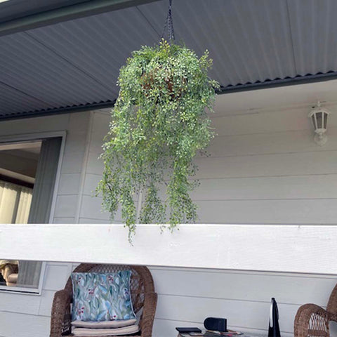 Hanging Basket With Artificial String Of Pearls - UV Stabilised 110cm