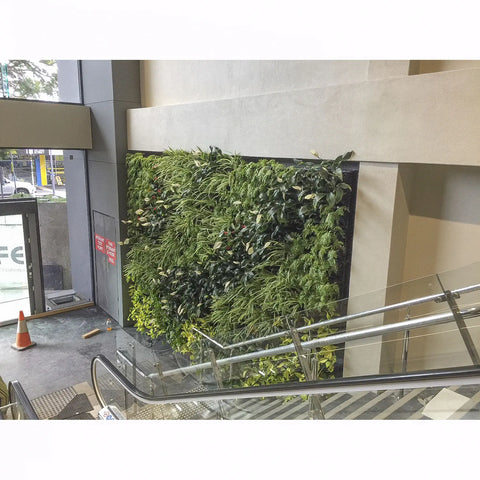 Atlantis Gro-Wall Slim Pro