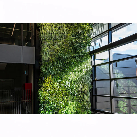 Atlantis Gro-Wall Slim Pro