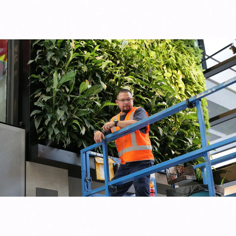 Atlantis Gro-Wall Slim Pro