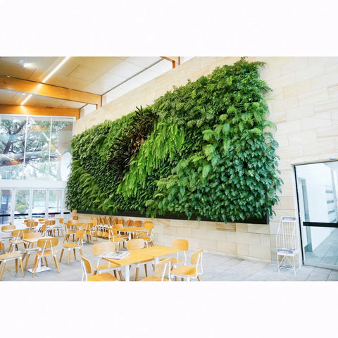 Atlantis Gro-Wall Slim Pro