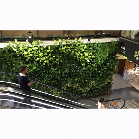 Atlantis Gro-Wall Slim Pro