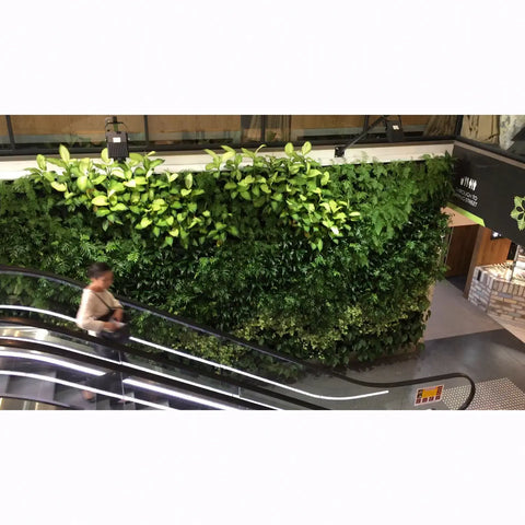 Atlantis Gro-Wall Slim Pro