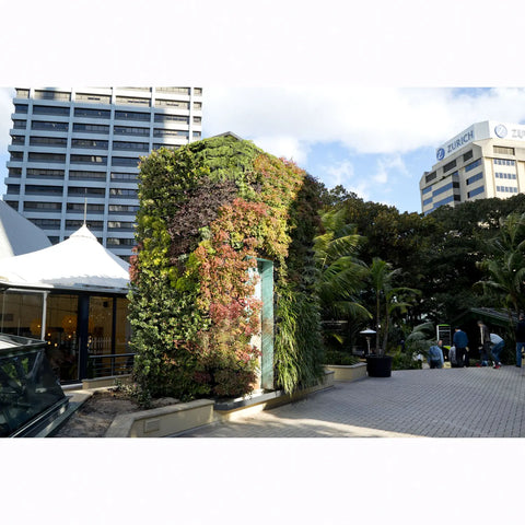 Atlantis Gro-Wall Slim Pro