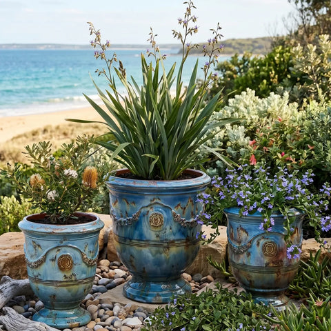Decorative blue pots with plants by a beach