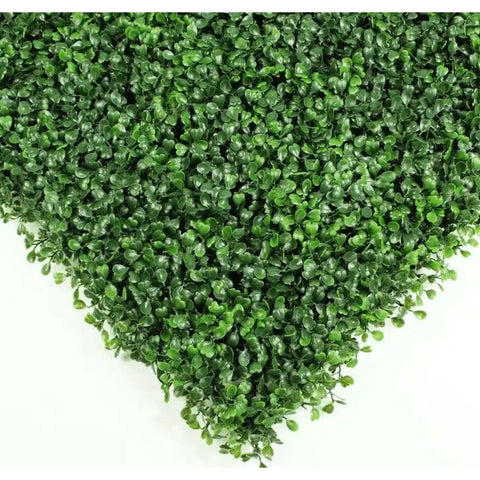A close up of a square Artificial Boxwood Hedge Plant Wall Screening Panel with dense, vibrant green leaves, shown against a plain white background
