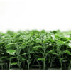 Image of A close up side view of the Artificial Boxwood Hedge Plant Wall Screening Panel highlighting its dense, three dimensional foliage against a clean white background