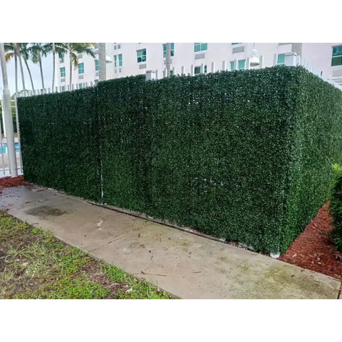 Artificial Boxwood Hedge Plant Wall Screening Panels serving as a privacy fence in an outdoor setting on a concrete walkway. In the background, a multi-story hotel or apartment building and several palm trees are visible