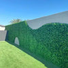 Image of An image of a backyard with a wave shaped Artificial Deluxe Buxus Hedge Wall Panels on a light block wall, green turf, a pool edge, and palm trees under a sunny sky
