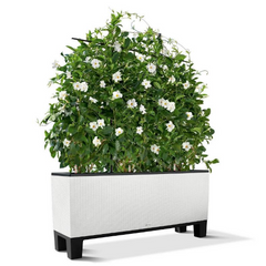 Image of OPEN BOX Lechuza Trio 30 Cottage Planter, Pedestal & Trellis, Grey
