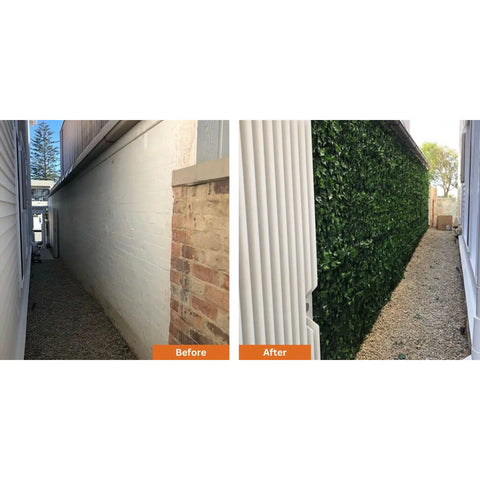 A photo showing a plain alley with a bare brick wall before, and transformed into a lush green corridor with the Artificial Ivy Leaf Hedge Panel after
