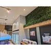 Image of A modern commercial space featuring the Artificial Ivy Leaf Hedge Panel on a light wood base adding a contrast to the store's industrial design which includes gray concrete style panels, air condition, commercial refrigerators, modern track lighting, product displays and signage