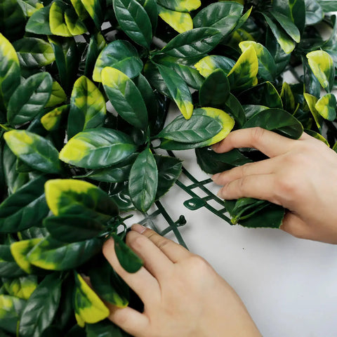 A close up of hands assembling an Artificial Laurel Hedge Plant Wall Screening Panel, highlighting glossy leaves and the dark green grid backing against a white background