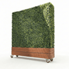 Image of Artificial Mixed Boxwood Freestanding Hedge 1.5m x 1.5m x 30cm UV Stabilised