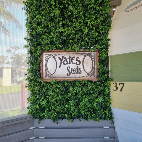 A building exterior with Artificial Spring Sensation Hedge Wall Panels as a backdrop for a vintage-style "Yates Seeds" sign with a colorful side stripes and the number "37"