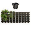 Image of Set of wallgarden multihang pots with plants on a white background