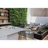 Image of Artificial White Oasis Vertical Garden Panel mounted on a wall in an indoor setting positioned next to a decorative bottle rack. The room also features a countertop, chair, table, and a cozy sofa